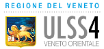 assl10theme_logo